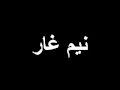 نيم غار