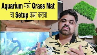 Aquarium मध्ये Grass Mat चा Setup कसा करावा | How To Setup Artificial Grass Mat In Aquarium