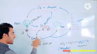 Carbon cycle | science class 8 kpk | Lec#2 |@khatimaliresearches