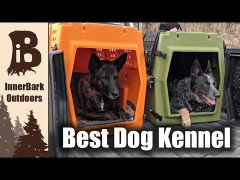 orion-dog-kennel-review-|-best-outdoor-dog-kennel
