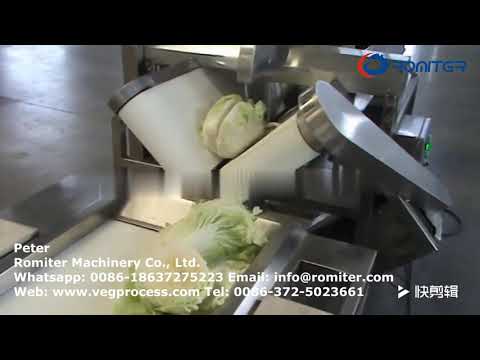 Automatic Onion Half Ring Slice Cutting Machine