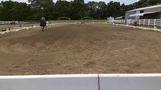 WIN 20200629 12 55 40 ProwillieL3T4july