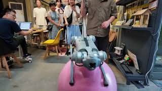 Celebrity Over 100 Contestants Joined Our Embodied AI Hackathon! Net Worth