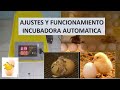 AJUSTES Y FUNCIONAMIENTO INCUBADORA 48 HUEVOS