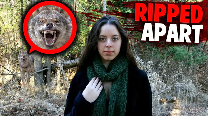 This Pack of Coyotes RIPPED Taylor Mitchell into P...