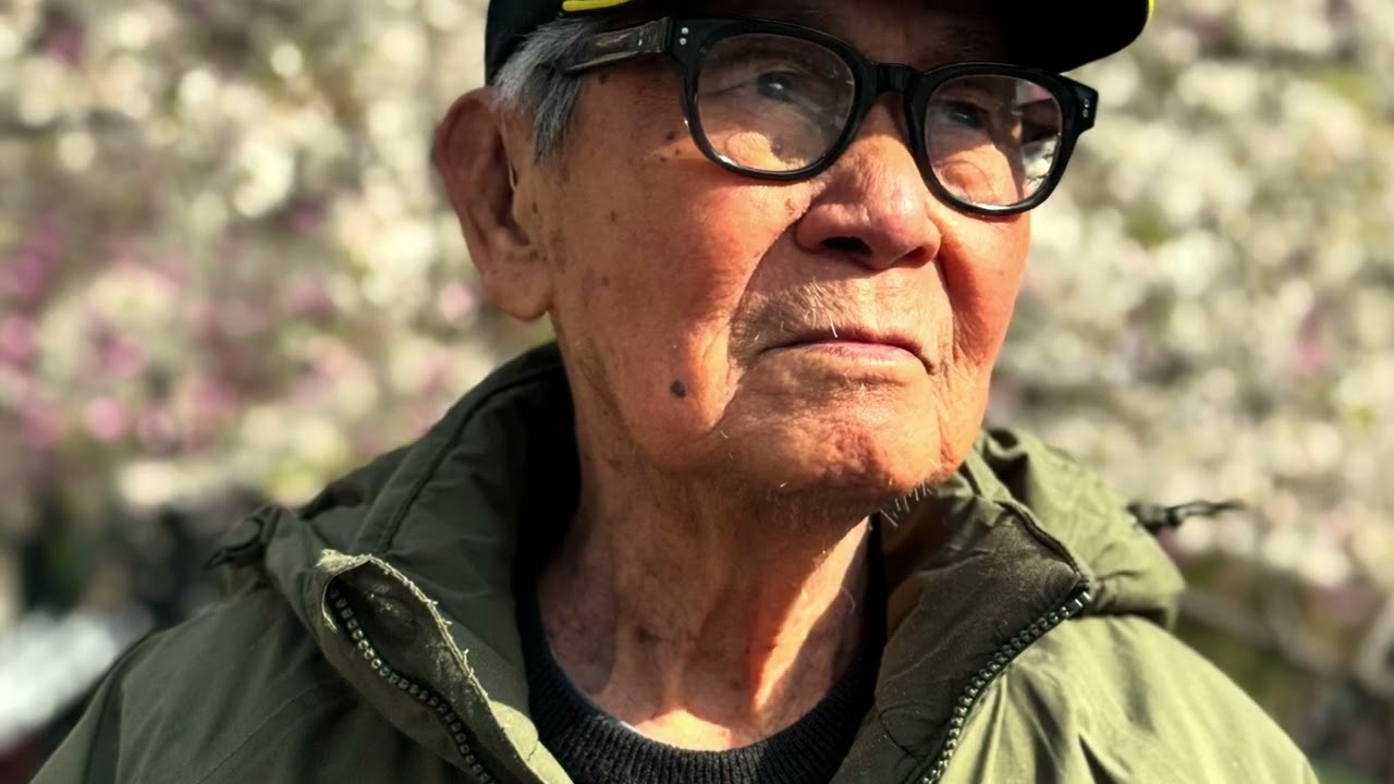 Beautiful spring day at NYC