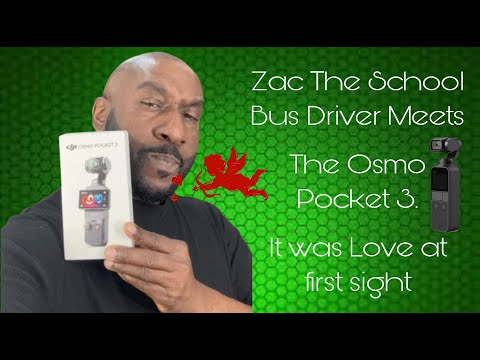 School Bus Driver.