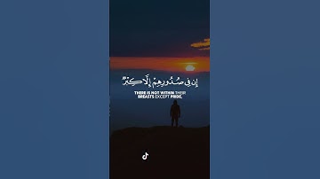 ما تيسر من {سورة غافر} - القارئ علاء المزجاجي