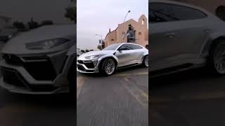 A Big Silver Bison Lamborghini Urus