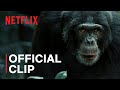 Chimp empire  chimps go to war  netflix