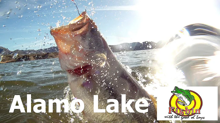 Alamo Lake with Dan Westfall