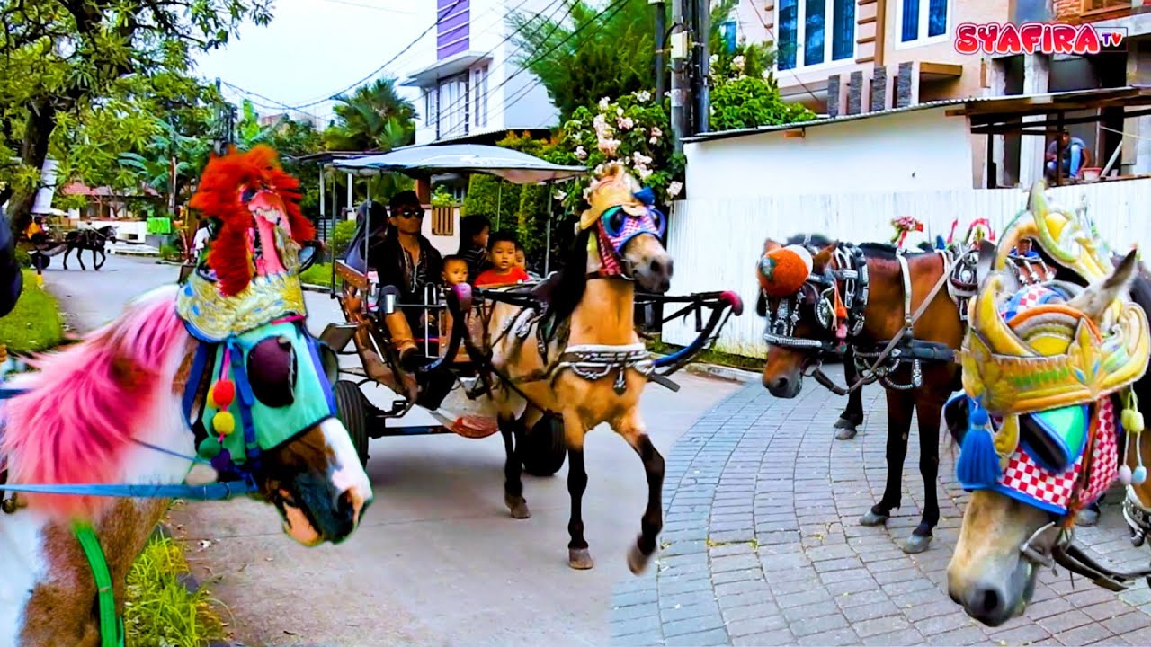 Naik Kuda Ponco - Lagu Kuda Delman istimewa ❤ Syafira TV