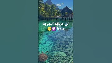 انى جزيتهم اليوم بما صبروا #تلاوة_هادئة #اسلام_صبحي #راحة_نفسية #quran
