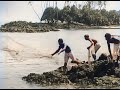 The beautiful Hawaiian islands in 1906 in color! [AI enhanced & colorized]