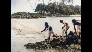 The Beautiful Hawaiian Islands In 1906 In Color! [Ai Enhanced & Colorized]