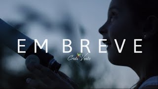 EM BREVE - Cata Vento (Autoral: João Erley)