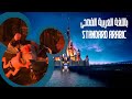 Tangled I Ve Got A Dream Standard Arabic Arabic TV حلم جميل رابونزل