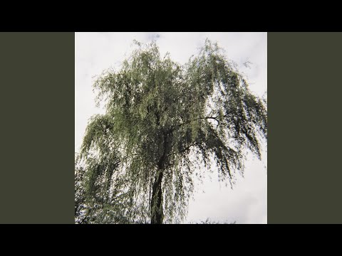 Memory (feat. JIN)