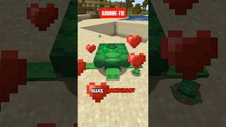 La MEILLEURE FARM à TORTUE de MINECRAFT !!