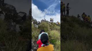 Climbing the highest peak of the Philippines ( Mt. Apo )