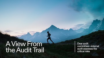 Dear audit committee - internal audit assesses the critical risks