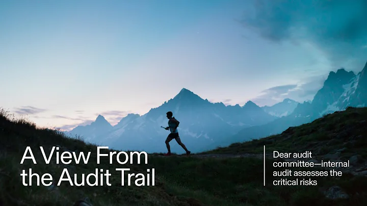 Dear audit committee - internal audit assesses the critical risks
