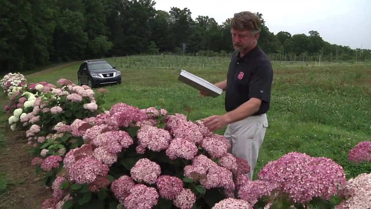  (click to view video)