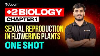 Plus Two Biology | 1. Sexual Reproduction in Flowering Plants | Oneshot | Eduport Plus Two 2026