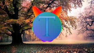 Macky Gee - Black Widow Vip 2 Bass Boosted