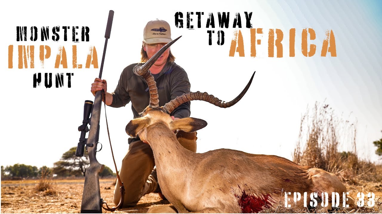 Побег в Африку – Эпизод 33: ​​Охота на чудовищную импалу в африканском буше