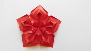 картинка: Красивая звездочка оригами (Алексей Жигулёв), Beautiful star origami