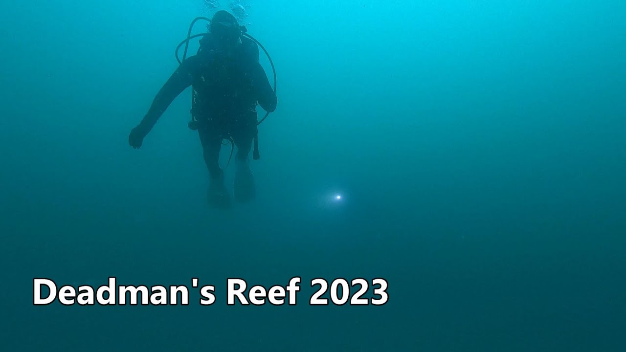 Deadman's Reef 2023 YouTube