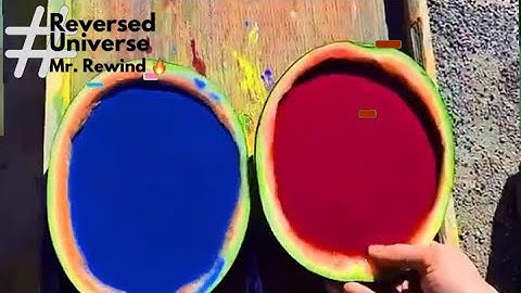 Mr. Rewind and The Satisfying of Reversing ⏳🔥