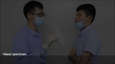 SARS CoV 2 Antigen（NP+N )  Operation Instructions