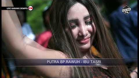 TURU NING PAWON || IIN VARERA || CITRA NADA LIVE KARANGDEMPEL || TEGONGAN