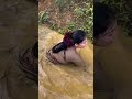 A Beautiful Widow Catches Fish Village Girl Village Widow Rural Village Village 