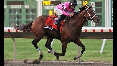 TVG Haskell Invitational (G1)  2019