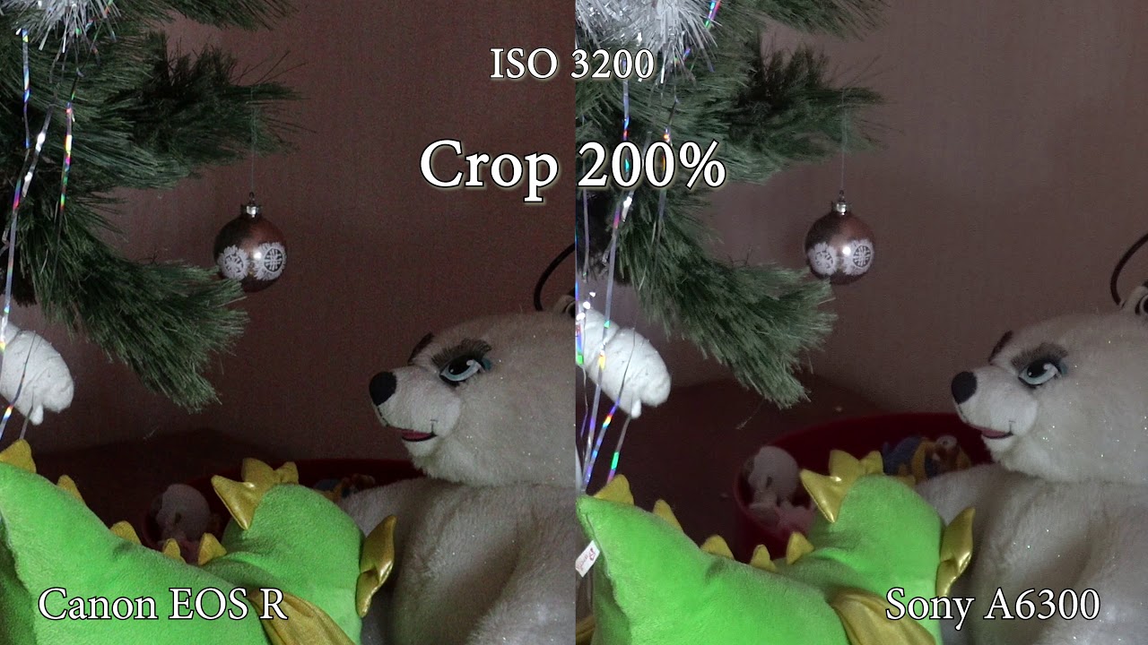 Canon EOS R vs Sony A6300 matrix noise comparison - YouTube