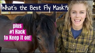 ⁣What is The Best Fly Mask?! + #1 Hack to Keep it on!