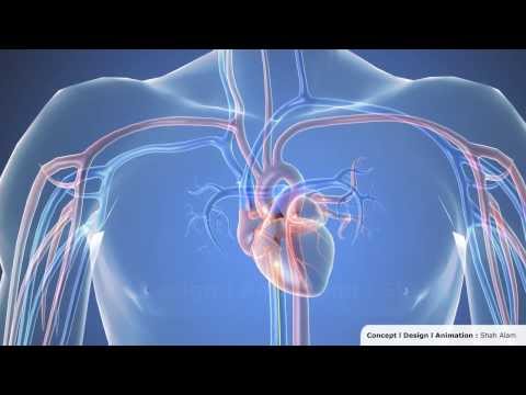 Cardiac catheterization - 3D Animation 1080p