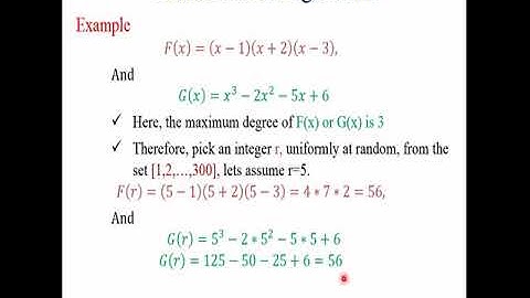 Polynomial Identity Testing