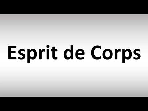 וִידֵאוֹ: מה הפירוש של esprit de corps בצרפתית?