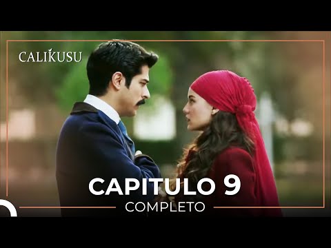 Calikusu 9 Capítulo