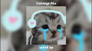 Download lagu cintanya aku speed up - tiara andini, arsy widianto