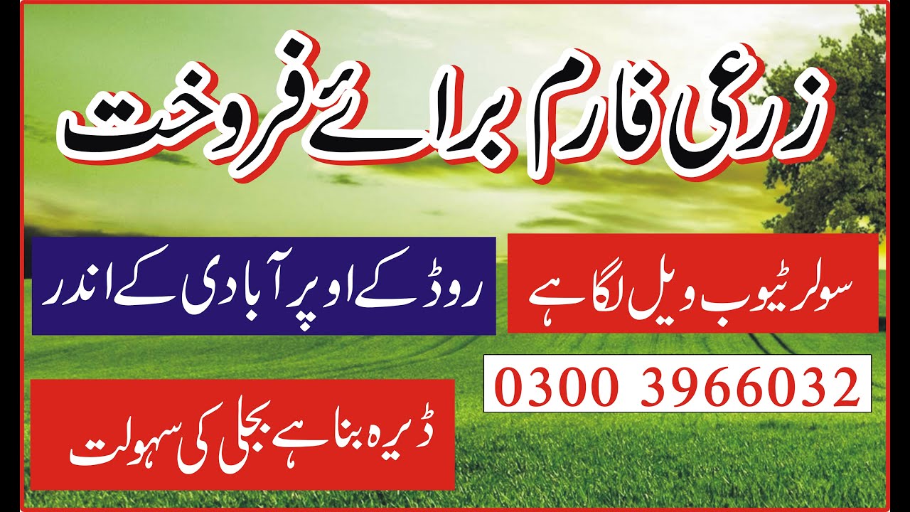 Agriculture Land For sale 45 acre 03003966032 mankara Bhakkar Land For
