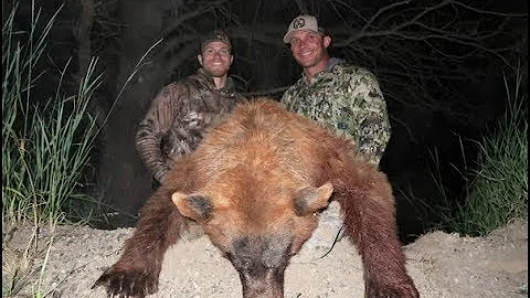WARRIOR FUEL ARCHERY BEAR HUNT!