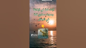 الشيخ المنشاوي يحلق في سماء الجمال والإبداع في آيات قمة في البلاغة 2025 #جمال_حامد