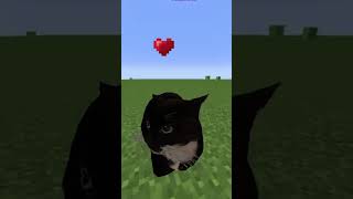 MAXWELL THE CAT in MINECRAFT #shorts