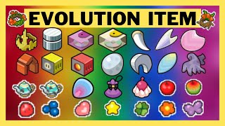 Pokemon Evolution Items