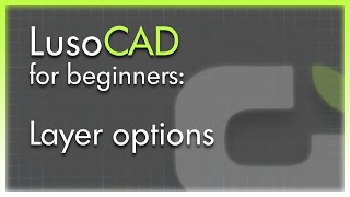 Layer Options